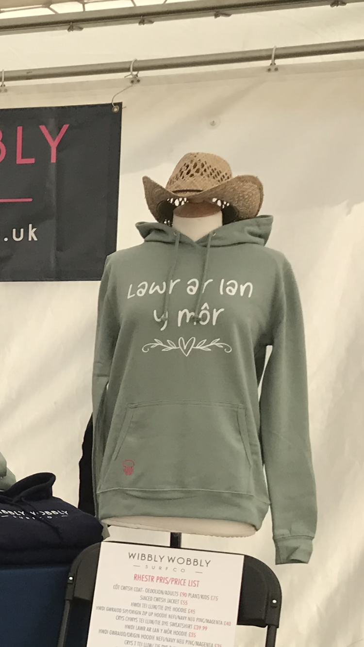 Ladies Lawr Ar Lan Y Môr Hoodie